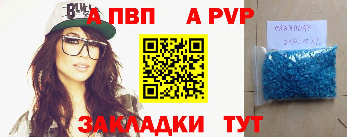Альфа ПВП СК Шали