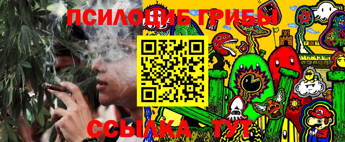 Псилоцибиновые грибы мухоморы Шали